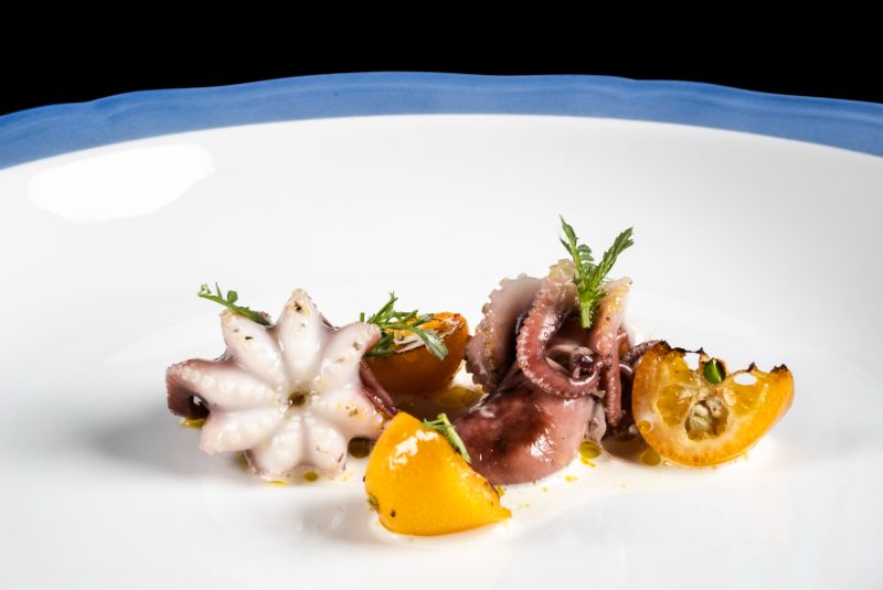 Lido84-dish-2 hero_W50BR25_LIP